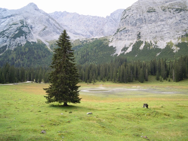 Igelsee